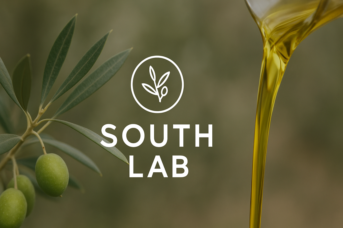 Types of Olive Oil in Tunisia and Their Quality